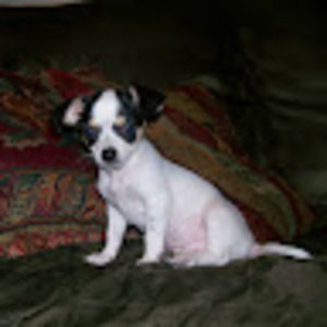 Meet your Posher, Laura